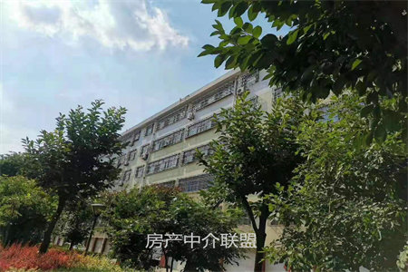 山亭梅花园2室2厅1卫90平米